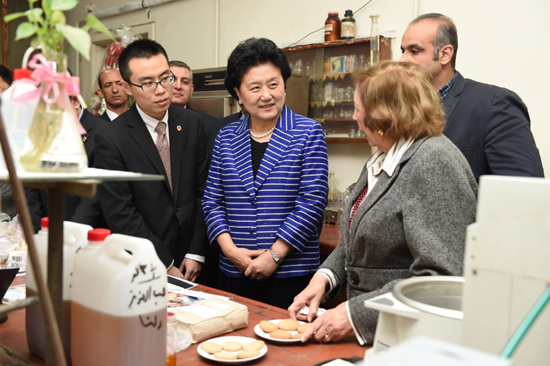3月28日，在埃及首都开罗，中国江南平台入口
副总理刘延东（中）参观埃及国家研究中心药用植物实验室。