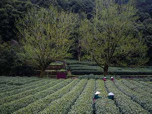 XxjpsgC007005_20221219_PEPFN0A001 副本.jpg