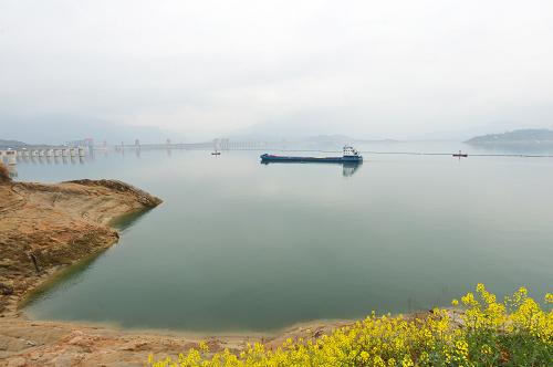 船舶从三峡大坝上游开进三峡五级船闸(3月1日摄)。 新华社发(郑家裕 摄)